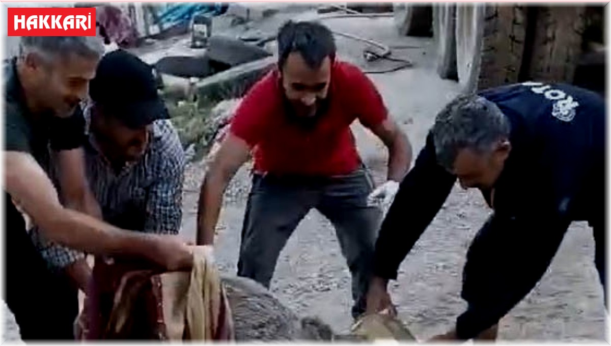 Kafası tenekeye sıkışan yavru ayı kurtarıldı