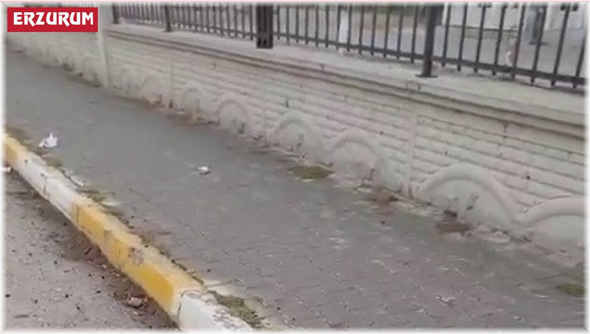 Kafasına poşet geçen kargayı öğretmen kurtardı