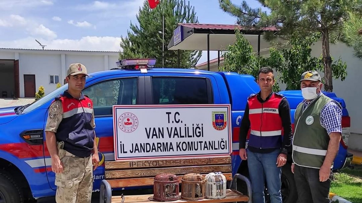 Kafes avcıları jandarmaya takıldı