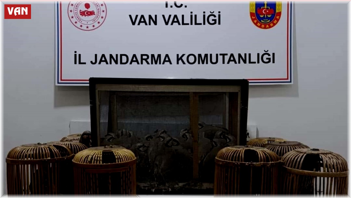 Kafes avcıları jandarmaya takıldı