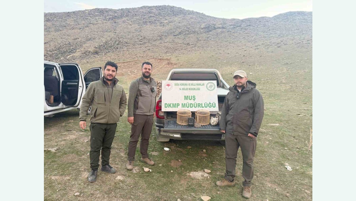 Kafes avcılığı yapan şahıs suçüstü yakalandı: 20 bin TL ceza