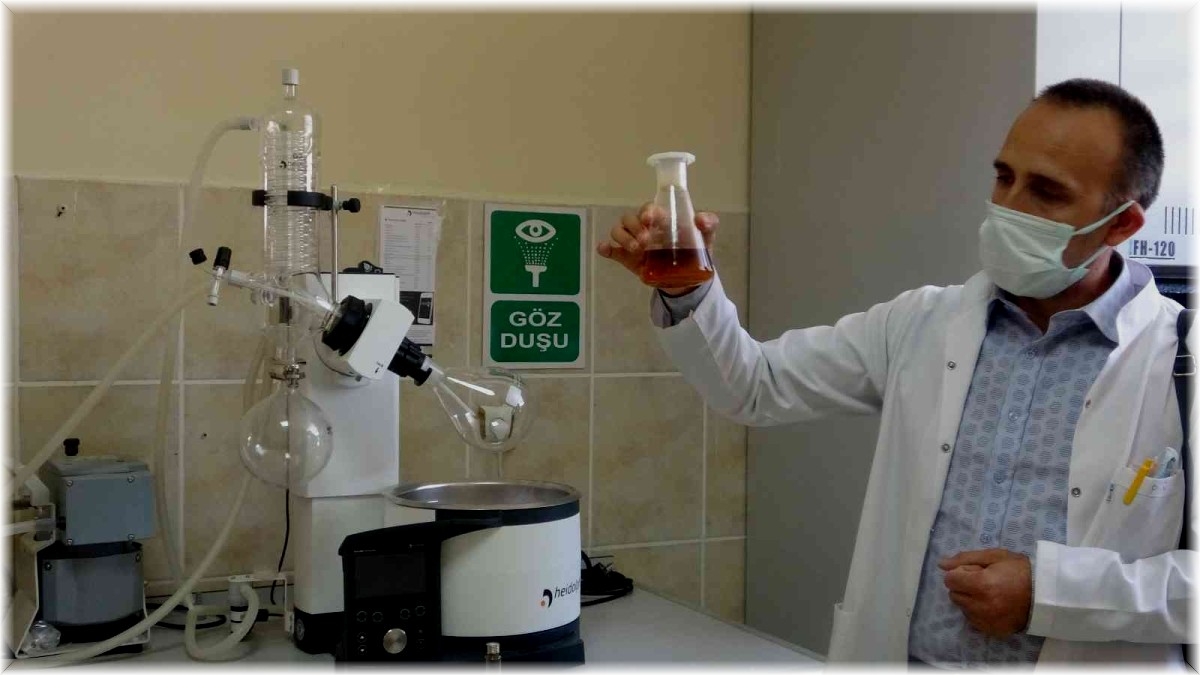 Kafkas Arısı Gen Merkezi Müdürlüğü'nde iki yılda 446 bal analizi yapıldı