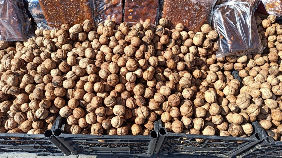 Kağızman'da ceviz hasadında 200 ton rekolte bekleniyor