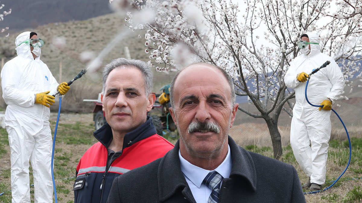 Kağızman'da çiçek açan kayısı bahçelerinde ilaçlama başladı: Üretici don ve hastalığa karşı nöbette