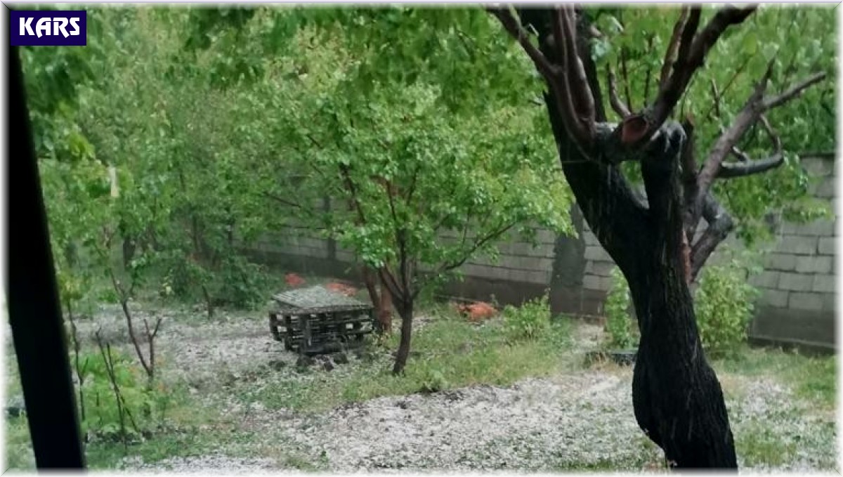 Kağızman'da dolu yağışı etkili oldu