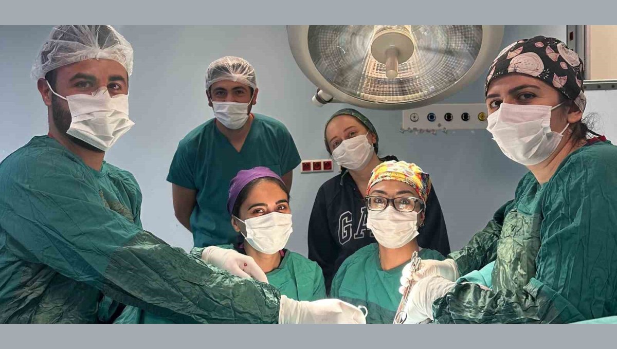 Kağızman Devlet Hastanesi'nde karın kesisi ameliyatı