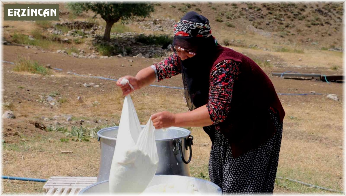Kahvaltı sofralarına 3 bin rakımdan gelen lezzet: Erzincan tulum peyniri