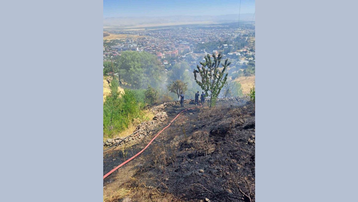 Kale bağlarında çıkan yangını korkuttu