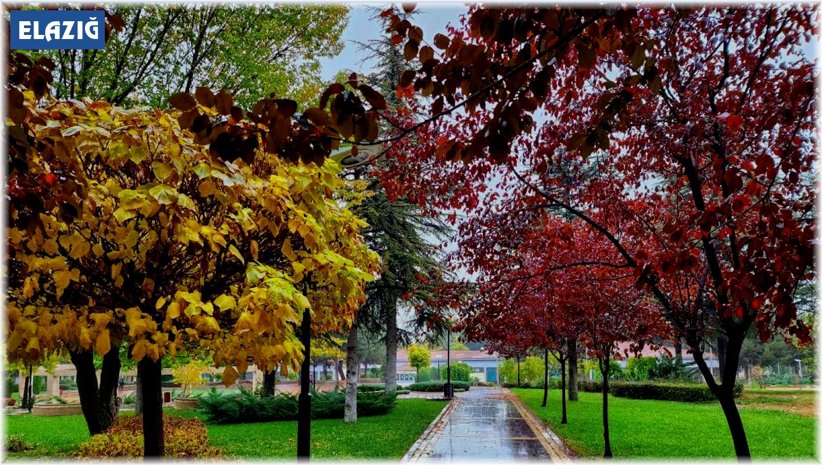 Kampüste sonbahar güzelliği