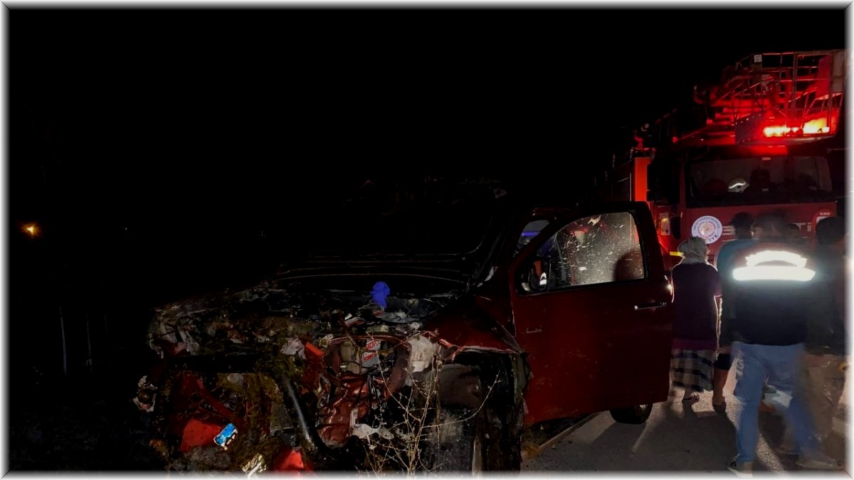 Kamyonet sürüye çarptı: 32 koyun telef oldu