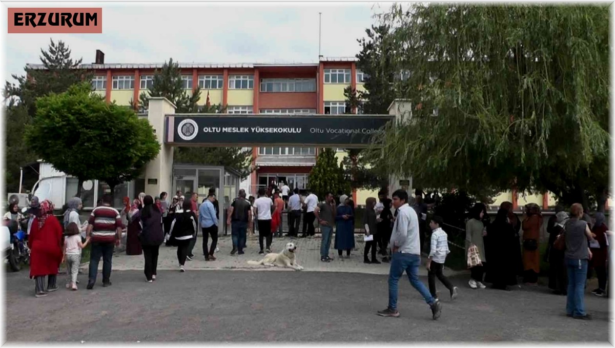 Kangal köpeği sınava giren sahibini okulun kapısında bekledi