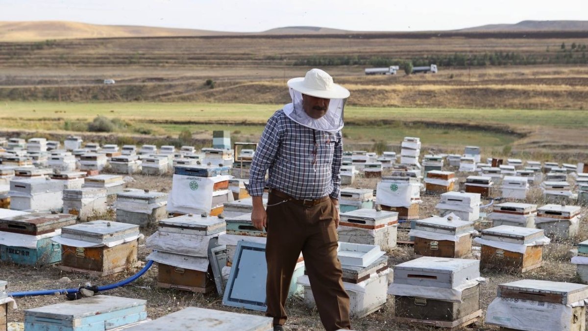 Kanser hastası oğlunu bal ile tedavi eden baba, arıcılığı meslek edindi