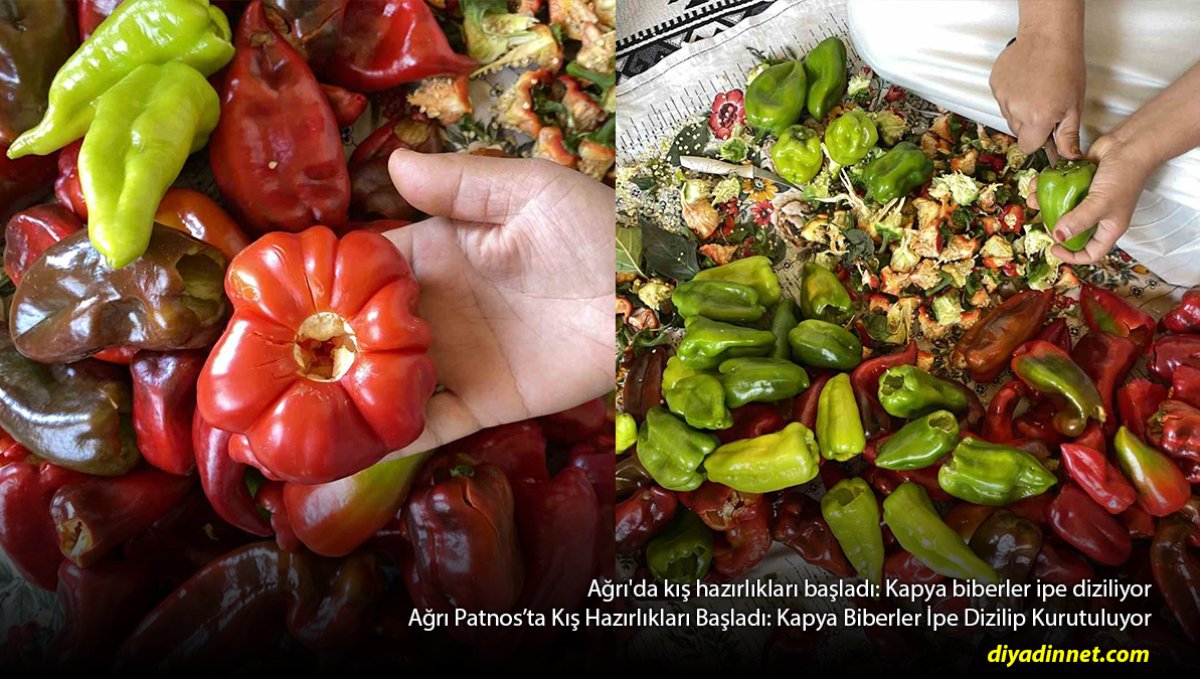 Kapya Biberler Tek Tek İpe Diziliyor: Patnos'ta Kış Hazırlığı Başladı