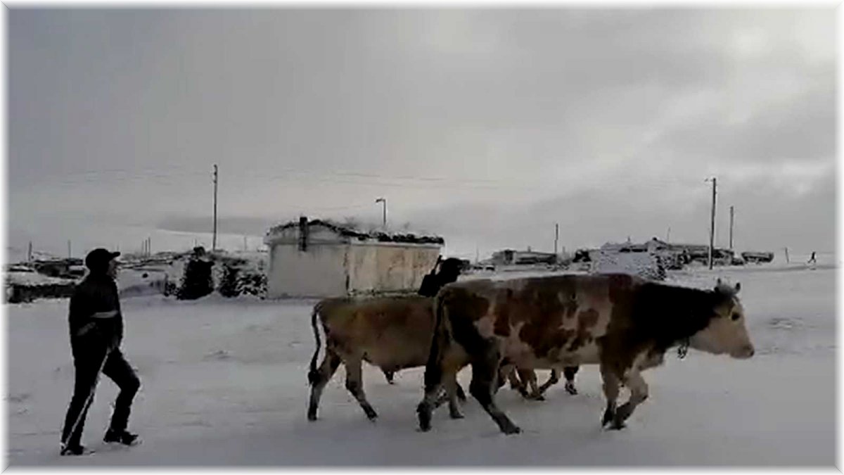 Kar etkili oldu: Yaylacıların dönüş hazırlıkları erken başladı