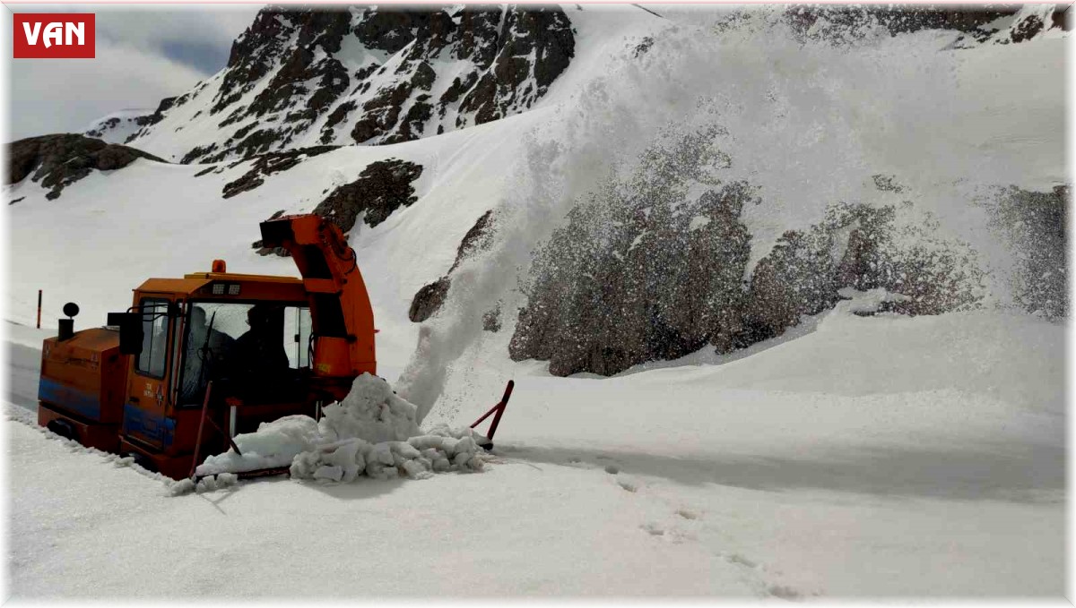 Kar kaplanları Nisan ayında da görevinin başında