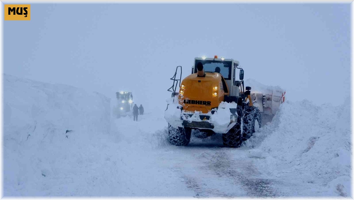 Kar kaplanlarından 50 günde 15 bin kilometre yol açma çalışması