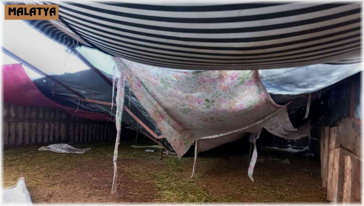 Kar nedeniyle çöken ağılda 28 küçükbaş hayvan telef oldu