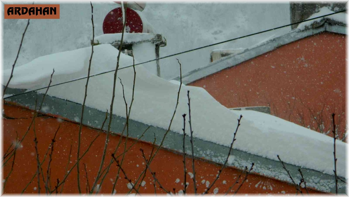 Kar Posof'ta okulları ve yolları kapattı