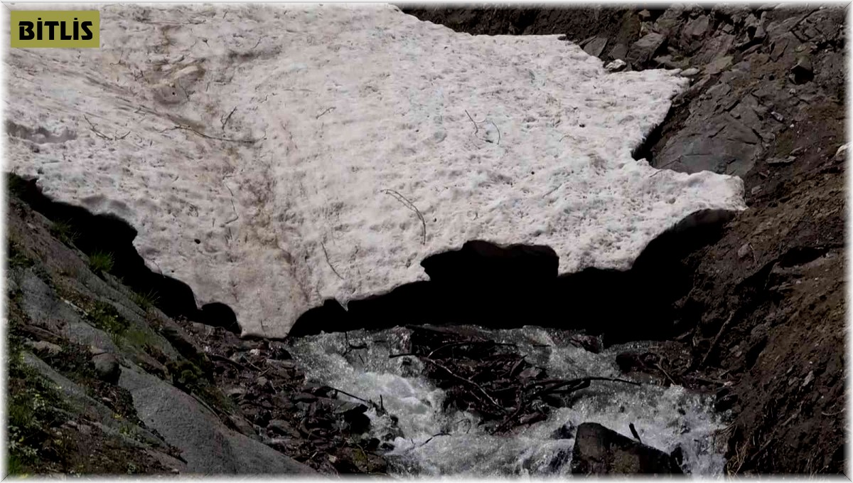 Kar sularının erimesiyle doğa yeniden canlandı