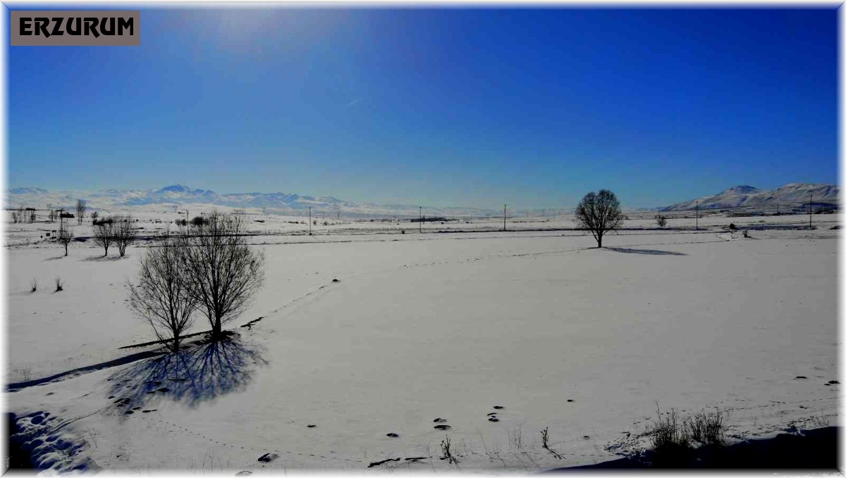 Kar ve buzun birleştiği beyaz kentte görsel şölen