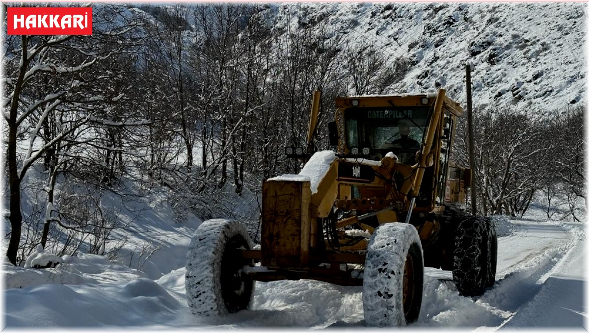 Kar ve olumsuz hava şartlarından dolayı 49 yerleşim yolunu kapattı