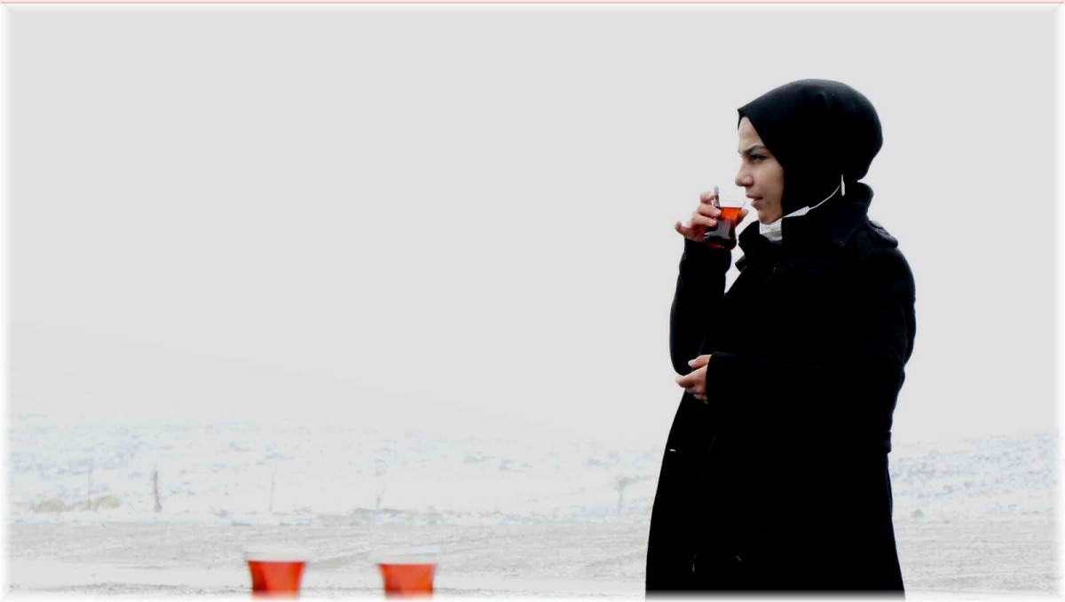 Kar ve sis, Doğu'dan İç Anadolu'ya açılan Sakaltutan Geçidinde kartpostallık görüntü oluşturdu