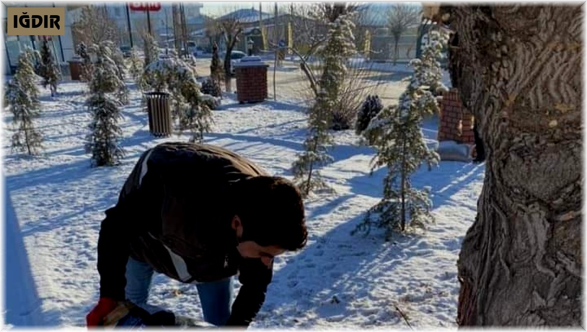 Kar yağışı sonrası yaban hayatı için doğaya yem bırakıldı