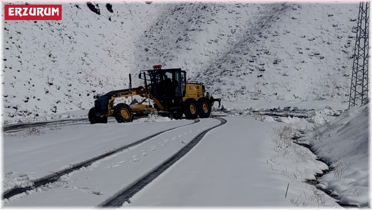 Kar yağışı ulaşımda aksamalara neden oldu