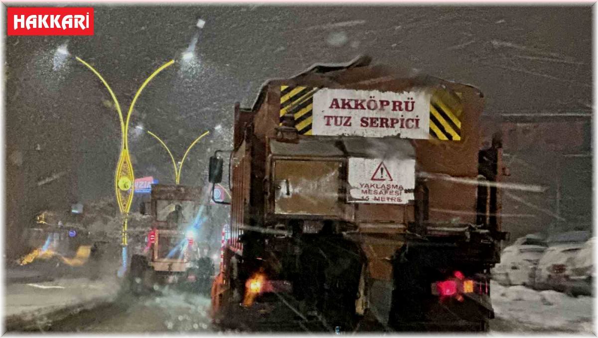 Kar yağışı Yüksekova-Esendere karayolunu ulaşıma kapattı
