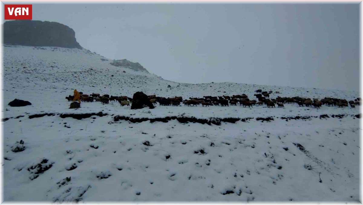 Kar yağışına yakalanan koyun sürüsü ağıllara geri dönmek zorunda kaldı