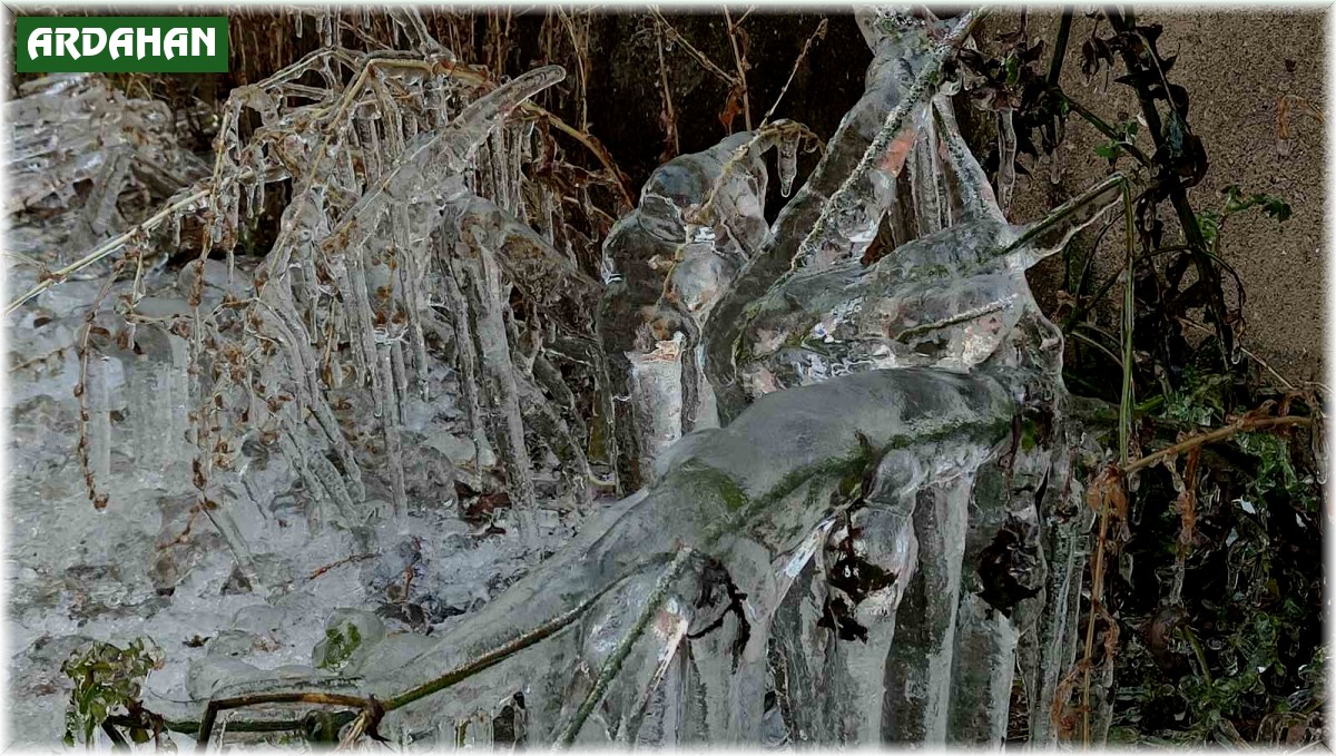 Kar yağışının ardından Ardahan'da dondurucu soğuklar etkili oldu