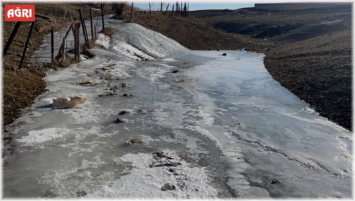 Kar yağmayan kentte don etkili oluyor