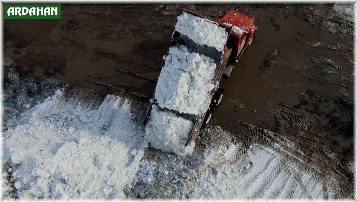 Kar yığınları kamyonlarla şehir dışına taşınıyor