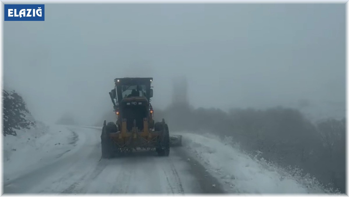 Karakoçan'da kar kalınlığı 30 santimetreyi geçti