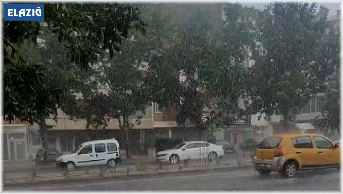 Karakoçan'da sağanak ve dolu etkili oldu