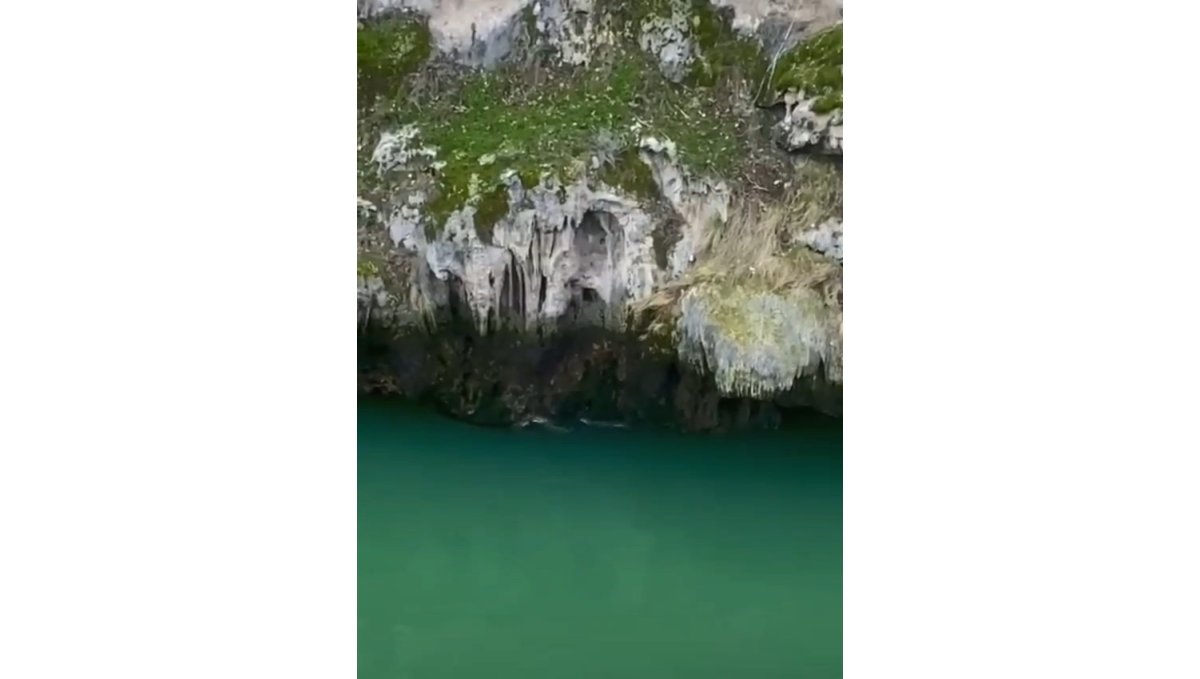 Karakoçan'da su samurları görüntülendi