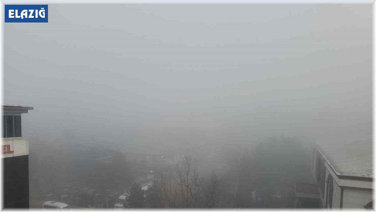Karakoçan'ı sis kapladı