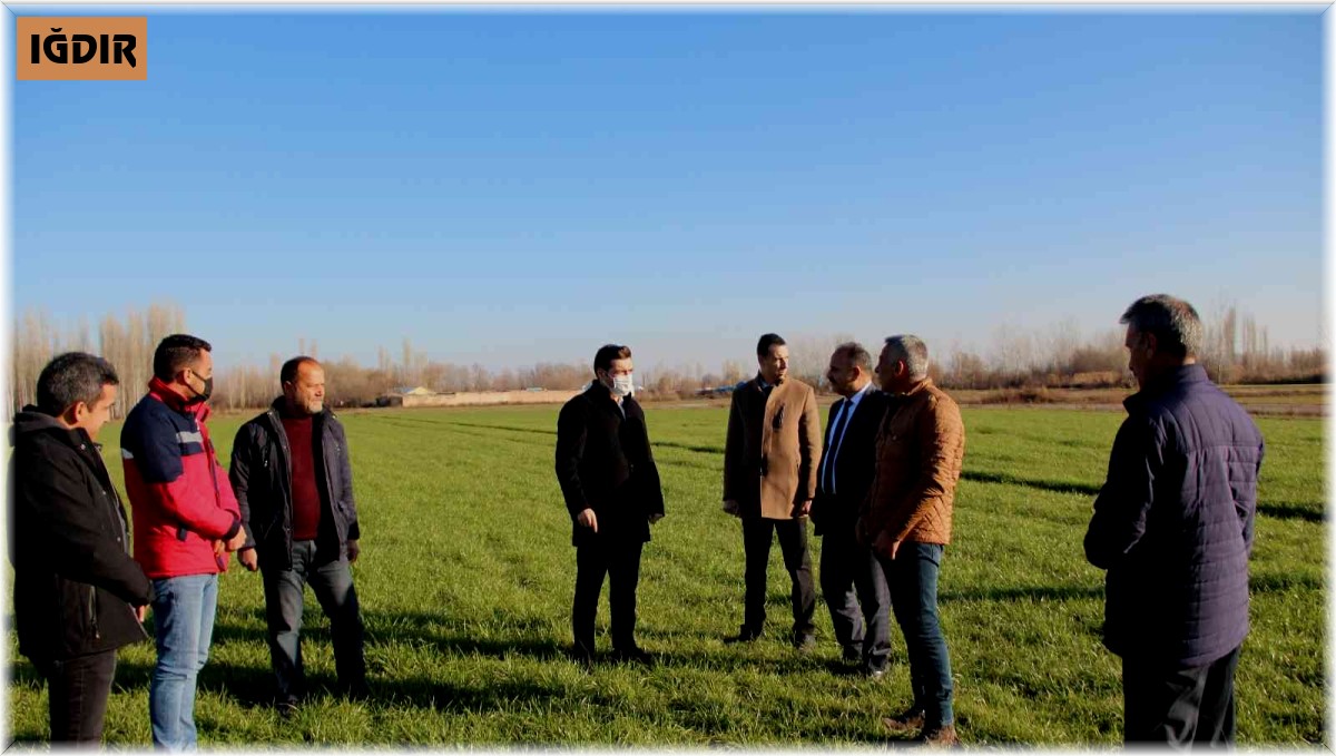 Karakoyunlu'da tarla günü düzenlendi