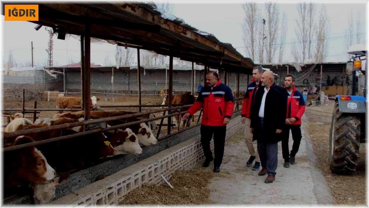 Karakoyunlu ilçesindeki işletmeler ziyaret edildi