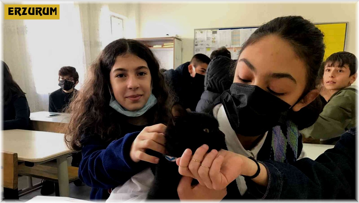 Karam okulun maskotu oldu