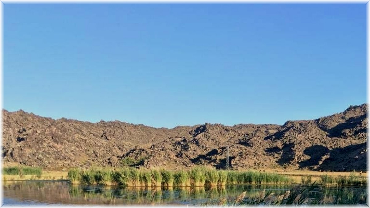 Karasu'da görülebilecek kuş türleri için bilgilendirme levhası asıldı