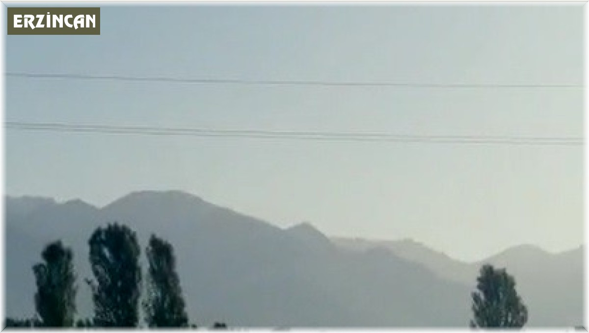 Karayoluna inen 2 kurt görüntülendi