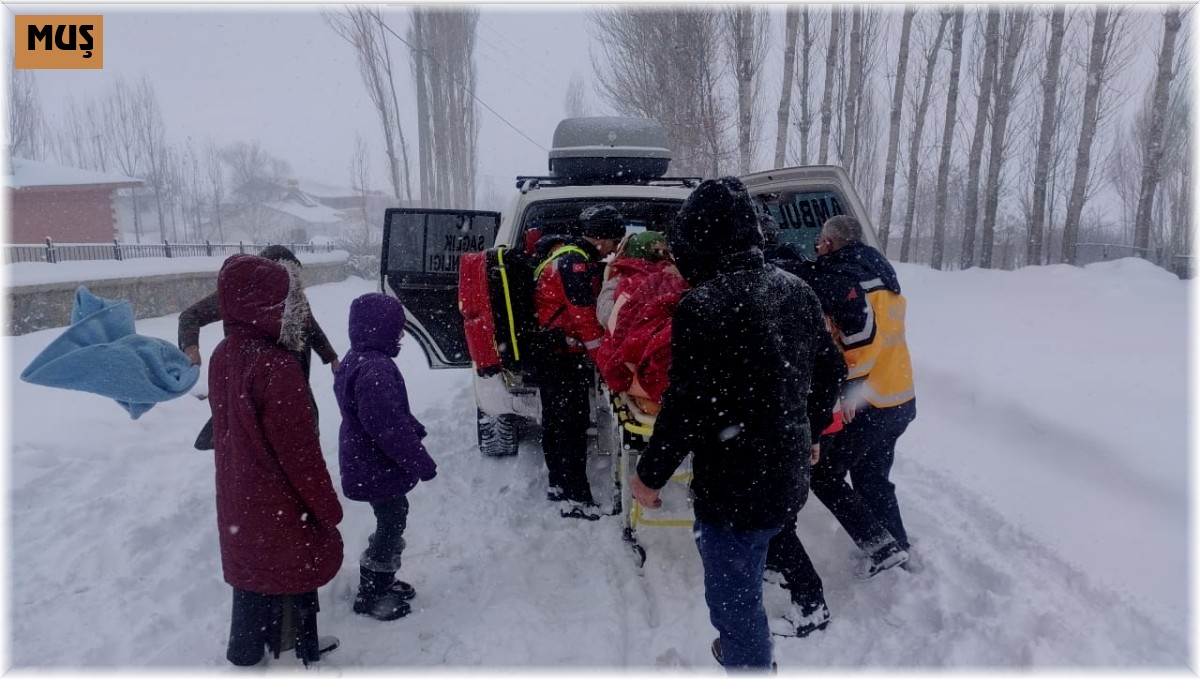Karda 1 kilometre yürüyen sağlıkçılar hamile kadını hastaneye ulaştırdı