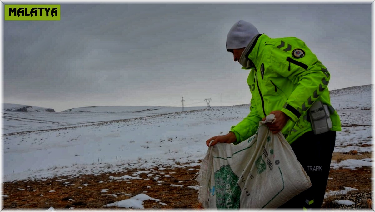 Karda yiyecek bulmakta zorlanan hayvanlara polis şefkati