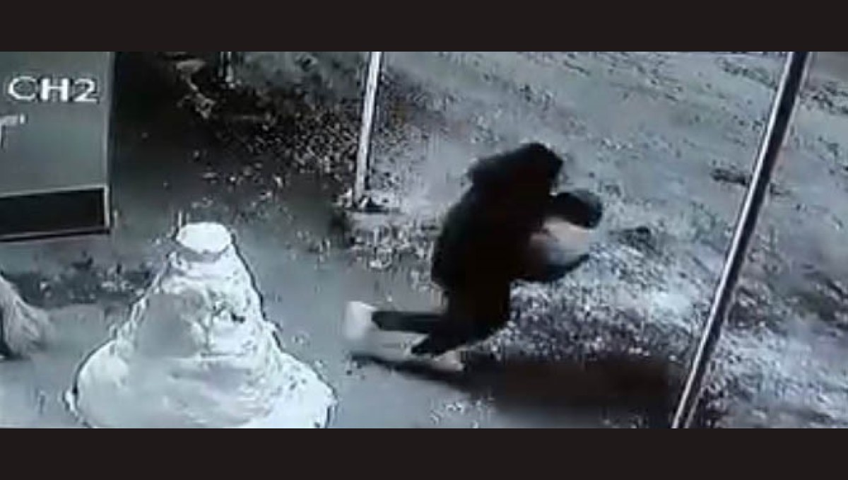 Kardan adamın kafasını çaldılar, o anlar kamerada