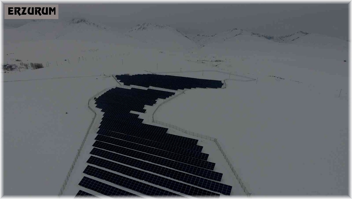 Kardan elektrik üretiyorlar