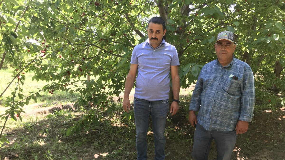 Karga savarlar iş başında