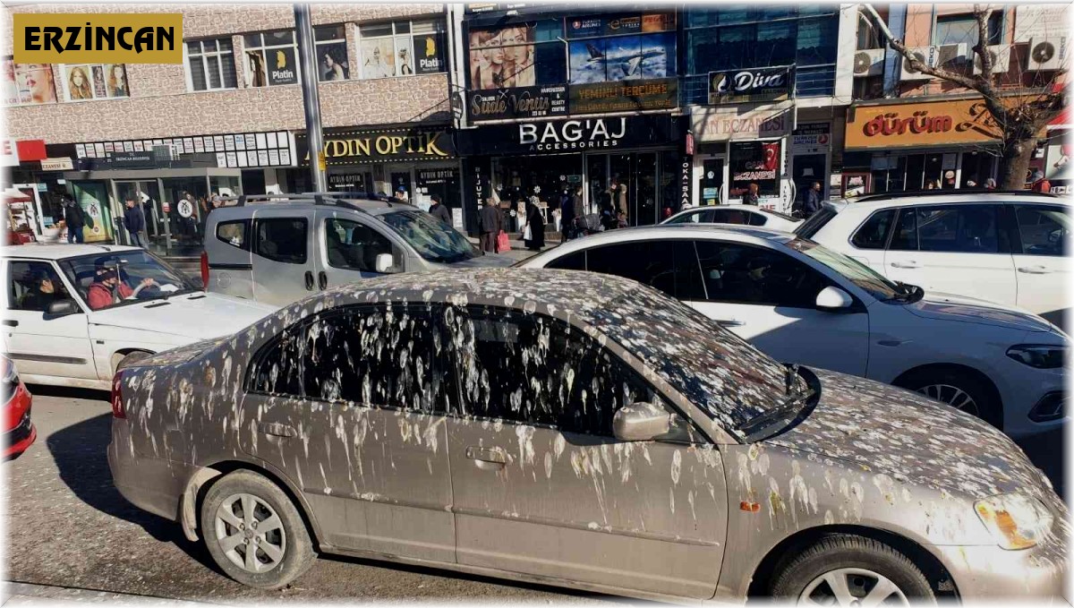 Kargaların istilası otomobili bu hale getirdi