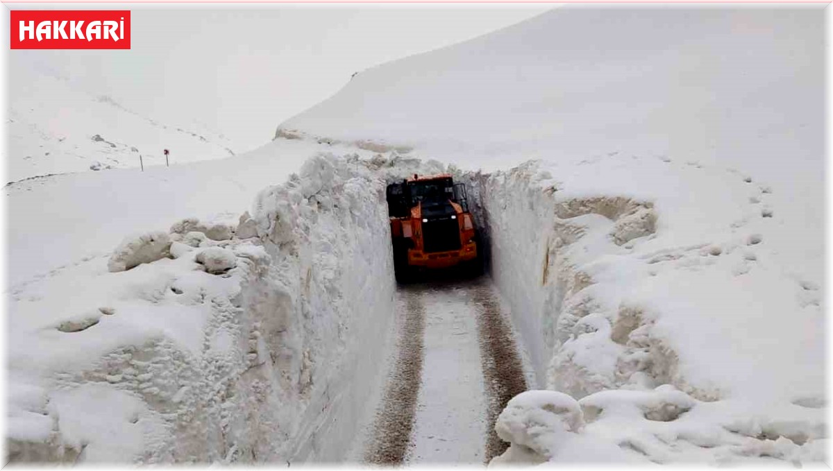 Karın kalınlığı iş makinesinin boyunu aştı: Açılan yollar tünelleri andırıyor