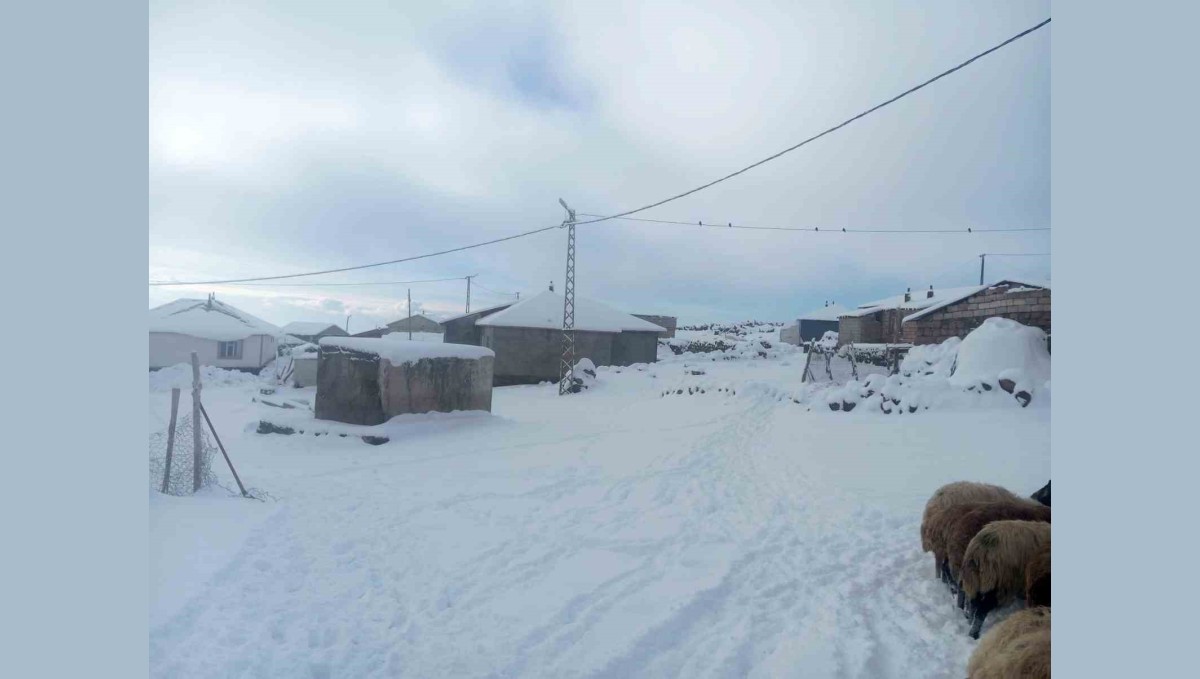 Karla birlikte Türkiye'nin en yüksek köyü Kışkılı'da besiciler zor durumda kaldı